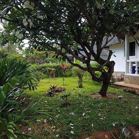 Karibuni Jeds Villas 85 & 86 Mambrui Exterior photo